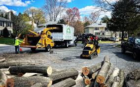 Best Landscape Design and Installation  in West Burlington, IA