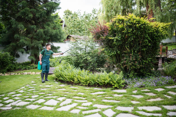 How Our Tree Care Process Works  in  West Burlington, IA